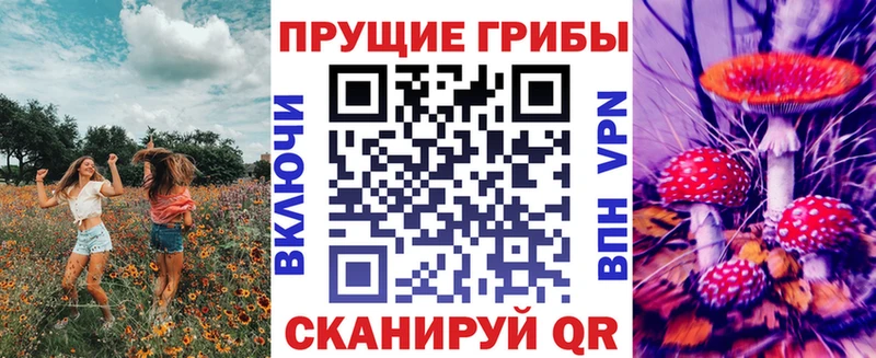 наркота  Короча  Галлюциногенные грибы мухоморы 
